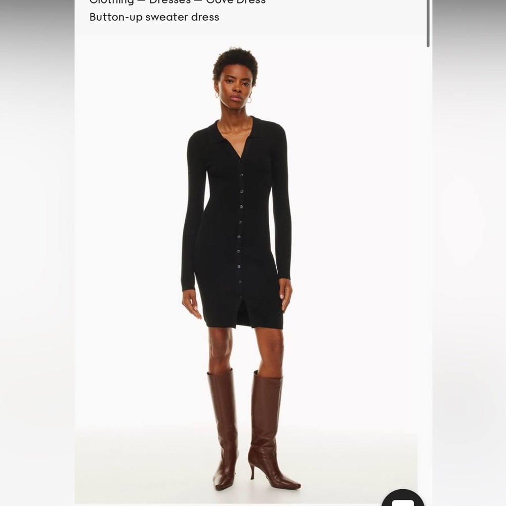 Aritzia Black Button-Up Midi Dress